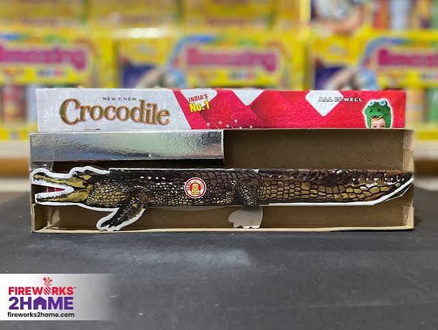 Crocodile